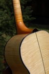 Ruby Elite - Curly Maple