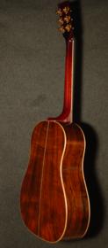 Clark Fork - Brazilian+ - Full Back View